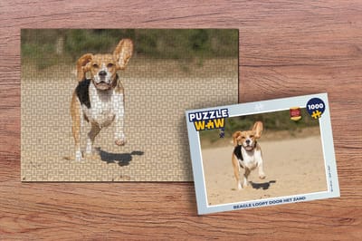 Puzzel Beagle loopt door het zand - Legpuzzel - Puzzel 1000 stukjes volwassenen