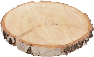 HBX Natural Living Decoratie boomschijf met schors - hout - D24,5 cm - rond
