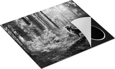 Chefcare Inductie Beschermer Retriever Hond in het Bos met Zon - Zwart Wit - 60x50 cm - Afdekplaat Inductie - Kookplaat Beschermer - Inductie Mat