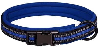 Store_8 - Reflecterende nylon halsband - Verstelbaar - Blauw - Zachte neopreen vulling - Veiligheidsgesp - Geschikt voor honden - Maat S 33-45cm
