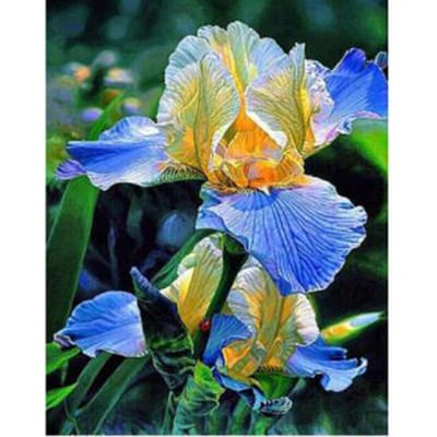 Diamant schilderij plant foto's kruissteek diamant borduurwerk Lotus Home Decor 20X30CM blue