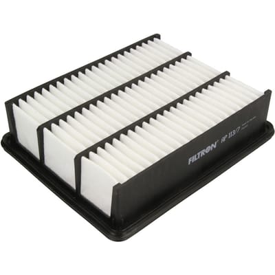 Luchtfilter FILTRON AP113/7