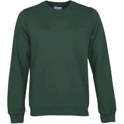 Sweatshirt ronde hals Colorful Standard Classic Organic emerald green