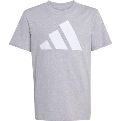Adidas Essentials T-shirt Met Korte Mouwen Grijs 11-12 Years Kinderen