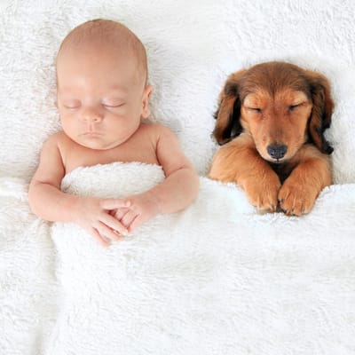 Allernieuwste.nl® Canvas Schilderij Slapende Baby en Puppy - Kunst aan je Muur - Romantisch - kleur - 50 x 50 cm