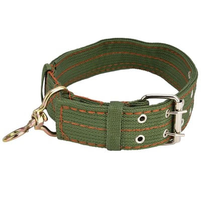 Dailygoody - Lederen hondenhalsband - Verstelbaar en lichtgewicht - Comfortabel en duurzaam - Geschikt voor honden en schapen - Ideaal voor familiege