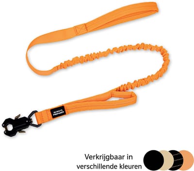 Always Prepared Pro Hondenriem - Elastisch - 120 cm - Oranje