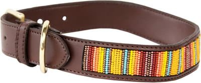 Kentucky Dogwear - Hondenhalsband handgemaakte parels pure oranje XS 37cm - Hondenriem