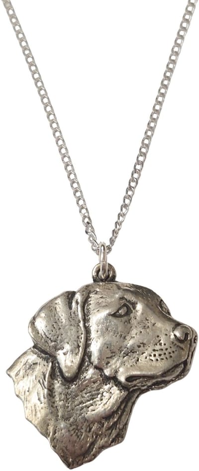 Hanger Labrador + Ketting Zilver 45 cm (Dames) Hondenhanger Halsketting Hond Zilver Valentijn Cadeau