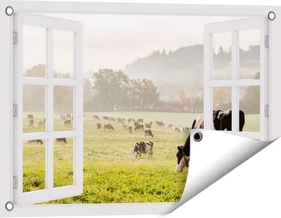 Gards Tuinposter Doorkijk Zwart Witte Koeien in de Wei - 60x40 cm - Tuindoek - Tuindecoratie - Wanddecoratie buiten - Tuinschilderij