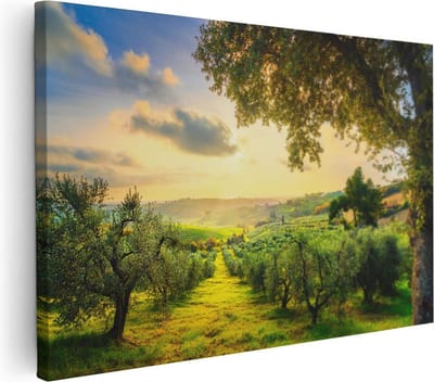 Artaza Canvas Schilderij Olijfboomgaard - 30x20 cm - Klein - Wanddecoratie Italië - Muurdecoratie Landschap - Kamer Accessoires Natuur