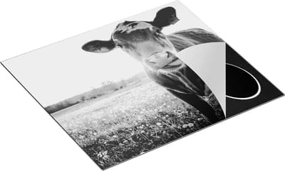 Chefcare Inductie Beschermer Koe in de Wei tijdens Zonsondergang - Zwart Wit - 60x50 cm - Afdekplaat Inductie - Kookplaat Beschermer - Inductie Mat