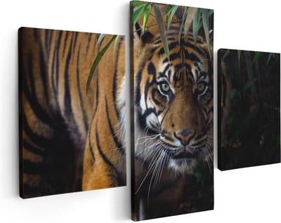 Artaza Canvas Schilderij Drieluik Tijger In De Jungle - 90x60 - Foto Op Canvas - Canvas Print