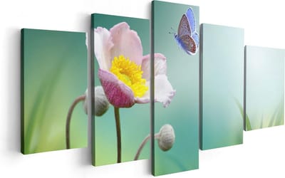 Artaza Canvas Schilderij Vijfluik Roze Anemoon Bloem Met Een Blauwe Vlinder - 100x50 - Foto Op Canvas - Canvas Print