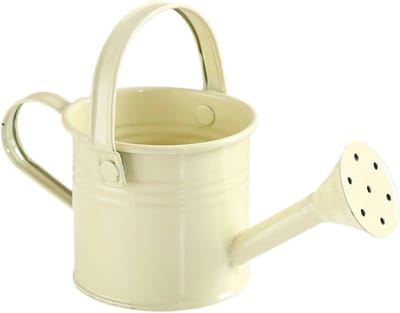 Kleine metalen gieter voor kinderen - 11,9 cm - ideaal voor binnen en buiten