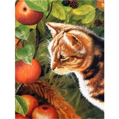 Diamant peinture chat pomme 5D bricolage diamant broderie Animal mosaïque photo décoration de la maison 20X30CM black