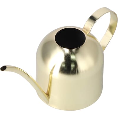 Arrosoir 1000ML Intérieur Vintage Acier Inoxydable Succulentes Fleurs Plantes Bouilloire Pot Or beige