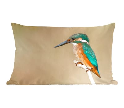Sierkussens - Kussentjes Woonkamer - 50x30 cm - IJsvogel - Dieren - Vogel