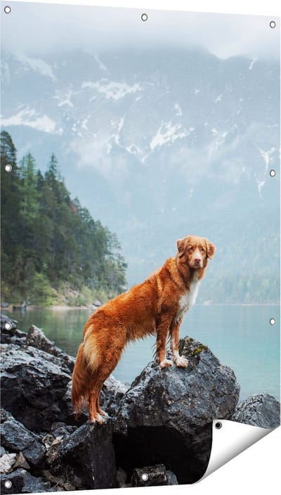 Gards Tuinposter Retriever Hond bij het Water in de Bergen - 80x120 cm - Tuindoek - Tuindecoratie - Wanddecoratie buiten - Tuinschilderij