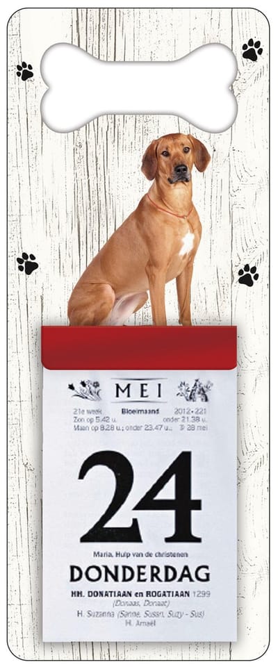 Scheurkalender 2027 Hond: Rhodesian Ridgeback