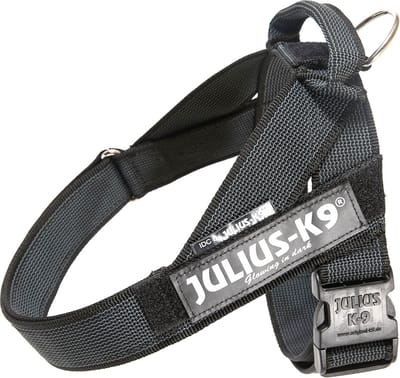 Julius-K9 IDC®Color&Gray® riemtuig, L - maat 1, zwart
