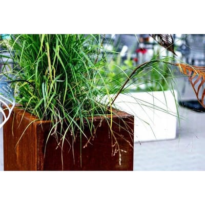 Intergard Cortenstaal plantenbak bloembak vierkant 40x40cm