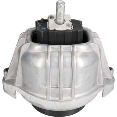 Motorsteun REINHOCH RH11-3025 links