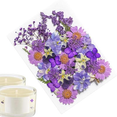 Gedroogde Bloemenstickers - Natuurlijke Plantenstickers - Scrapbooking en Knutselen - Echte Botanische Kunst - 35 Stuks - Paars