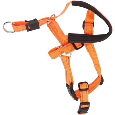Collier de tête pour chien Harnais de tête pour chien respirant Couvre-bouche pour chien avec sangle réglable pour l'extérieur Rouge XL L orange