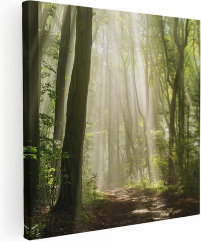 Artaza Canvas Schilderij Bos - 80x80 cm - Wanddecoratie Zonnestralen - Muurdecoratie Bomen - Schilderijen Natuur