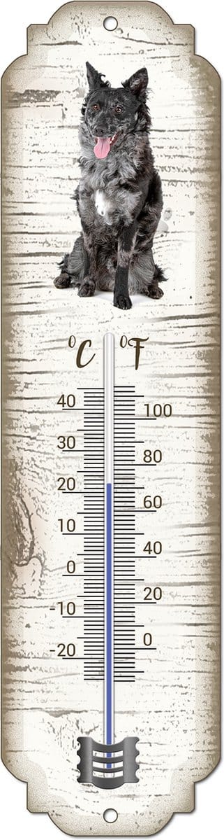 Thermometer: Mudi | Hondenras | Temperatuur binnen en buiten | -25 tot +45C