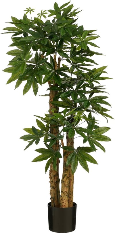 Mica Decorations Pachira Kunstplant - Kunstboom Watercacao Geldboom - Symbool voor Geluk en Welvaart - Groene Kunstplant voor Binnen - H175 x Ø85 cm - Zwarte Kunststof Pot - Groen