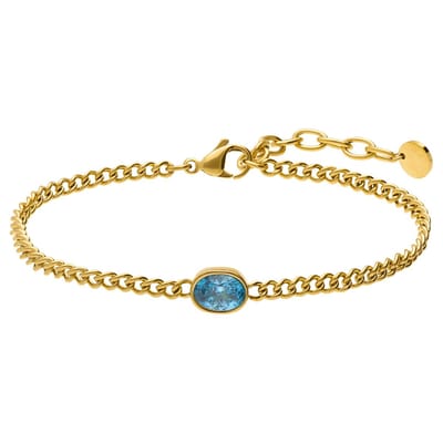 Lucardi - Dames Stainless steel armband met geboortesteen zirkonia voor dames - Armband - Staal - Goudkleurig - 20 cm