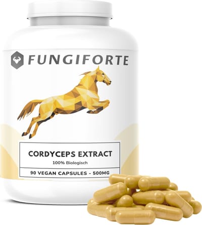 FungiForte - Cordyceps Extract 500mg - 90 stuks - Non-GMO - Lab Tested - Cordyceps Capsules - Paddenstoel Supplement