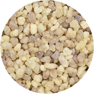 LIVIA HOME- Wierook Olibanum - Natuurlijke Hars - Boswellia Papyrifera - Kruidige Geur - Rustgevende Sfeer - 100g