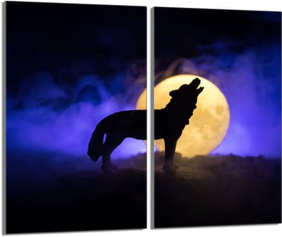 TMK ArtDeko - Serie Wilk - Glazen Beschermplaat - 2x30x52 cm - Gehard Glas