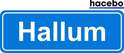Hacebo - Plaatsnaam Sticker - 29x10 CM - Hallum sticker - Verkeersborden sticker - grappige cadeaus - Hallum