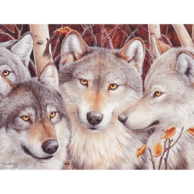 5d bricolage diamant peinture loup strass image de strass diamant broderie diamant mosaïque 20X30CM gray