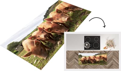 Keukenloper - Loper keuken - Varkens - Big - Dieren - 120x50 cm - Keukenloper vinyl