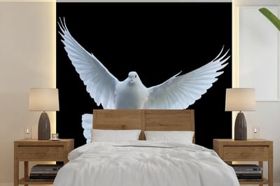 Behang - Fotobehang Duif - Vogel - Zwart - Wit - Portret - Breedte 240 cm x hoogte 240 cm
