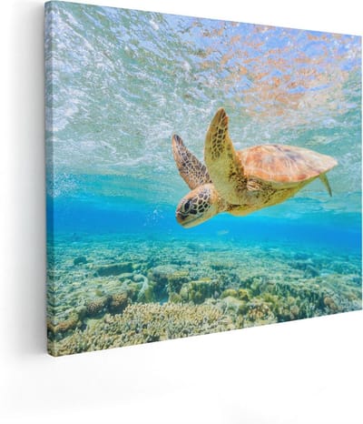 Artaza Canvas Schilderij Schildpad Onderwater - 50x40 cm - Muurdecoratie Zee - Wanddecoratie Woonkamer - Kamer Accessoires