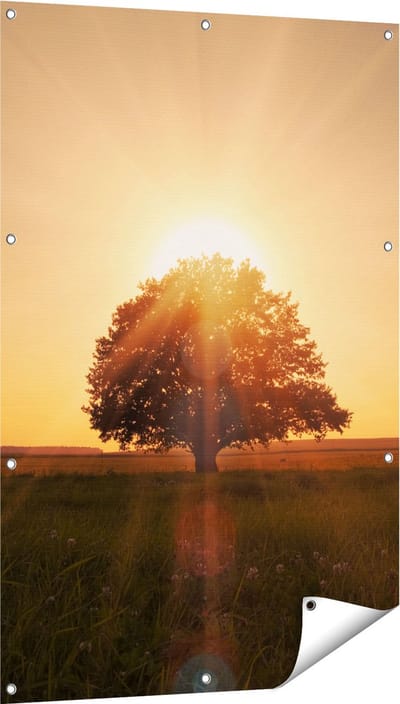 Gards Tuinposter Zonsondergang Achter een Grote Boom - 80x120 cm - Tuindoek - Tuindecoratie - Wanddecoratie buiten - Tuinschilderij