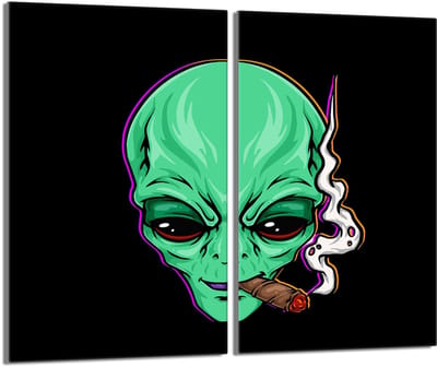 TMK ArtDeko - UFO Serie - Glazen Beschermer - 2x30x52 cm - Multitoepassing