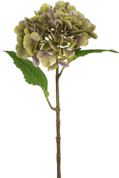 Easyplants | Kunst Hortensia Deluxe 55 cm groen/paars | Zijde | Nepbloemen | paars | Onderhoudsvrij | Kant-en-klaar