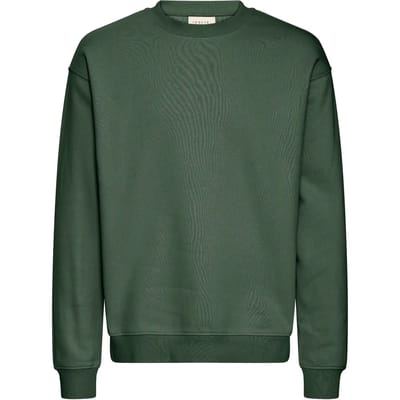 Sweatshirt Solid SDLENZ