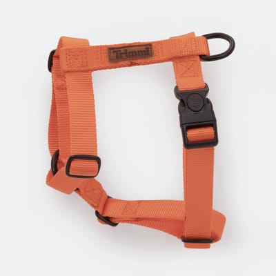 Nylon tuigje oranje - maat M - hondentuig - honden riem - hondentuigje hond medium - honden harnas - honden tuigje - hondenhalsband met naam - hond - halsbanden, riemen & tuigen -Trimmi
