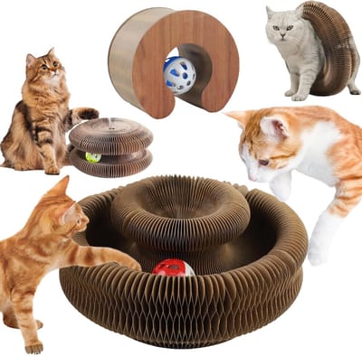 2-in-1 Katten Speelgoed, Zelfvermaak voor Katten, Interactief Speelgoed voor Kittens en Volwassen Katten