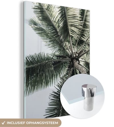 MuchoWow® Glasschilderij 30x40 cm - Schilderij acrylglas - Palmboom - Tropical - Zomer - Foto op glas - Schilderijen