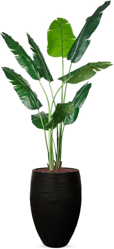 Kunstplant Strelitzia in Vaas elegant Rib zwart H210 cm