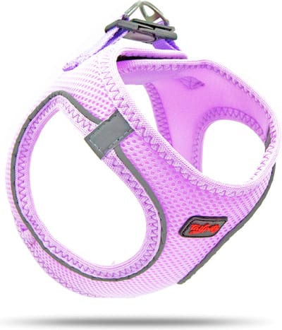 Tailpetz - Air-Mesh Harness - Hondenharnas - Hondentuig - Hondentuigje Kleine Hond - Y Tuig Hond - Harnas Hond - Anti Trek Tuig Hond - Reflecterend - Maat 2XS - Lilac
